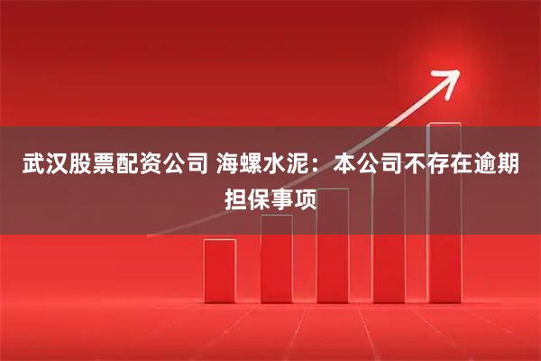 武汉股票配资公司 海螺水泥：本公司不存在逾期担保事项